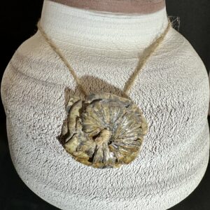 Pot sculptural — Grès texturé & ammonite fossile